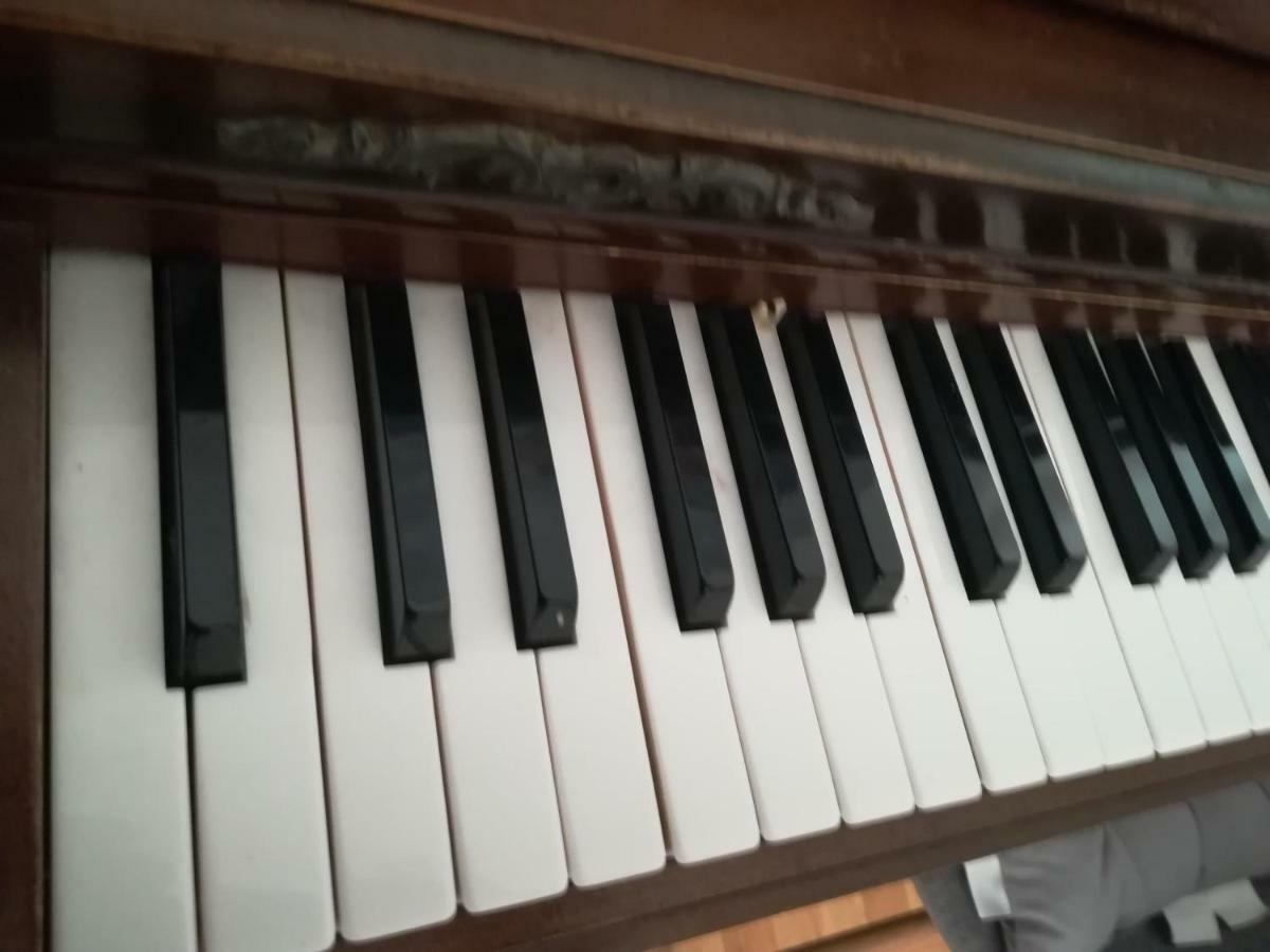 The Piano Apartment Zavalatica Exterior photo